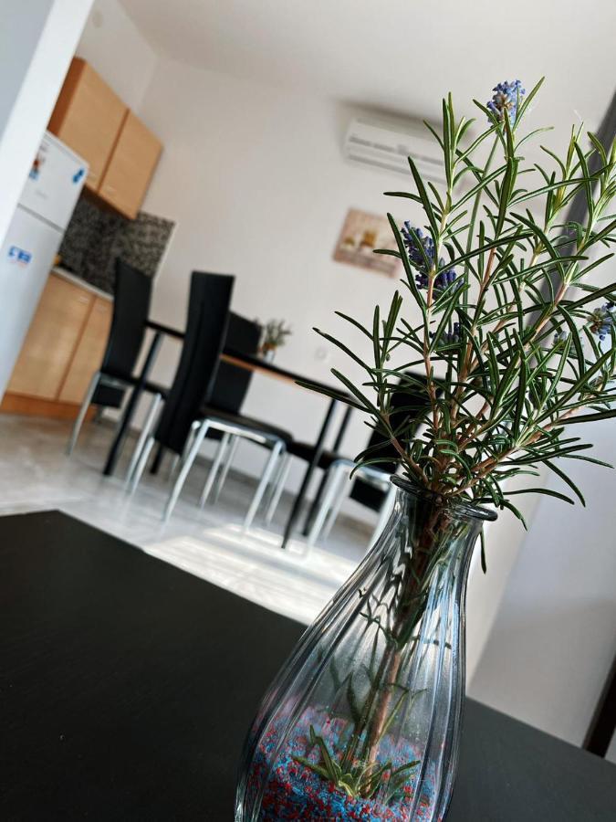 Apartments Villa Maria Vodice Exteriér fotografie